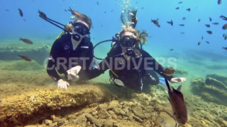 Discover scuba diving