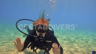 Discover scuba diving