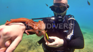 Discover scuba diving