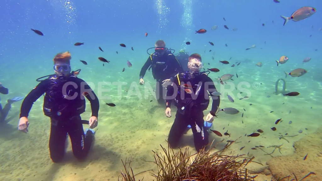 Discover scuba diving