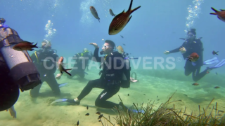 Discover scuba diving