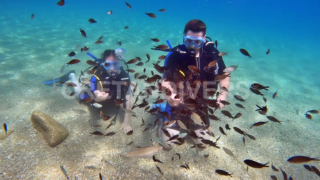 Discover scuba diving