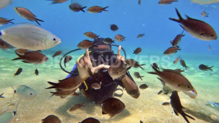 Discover scuba diving